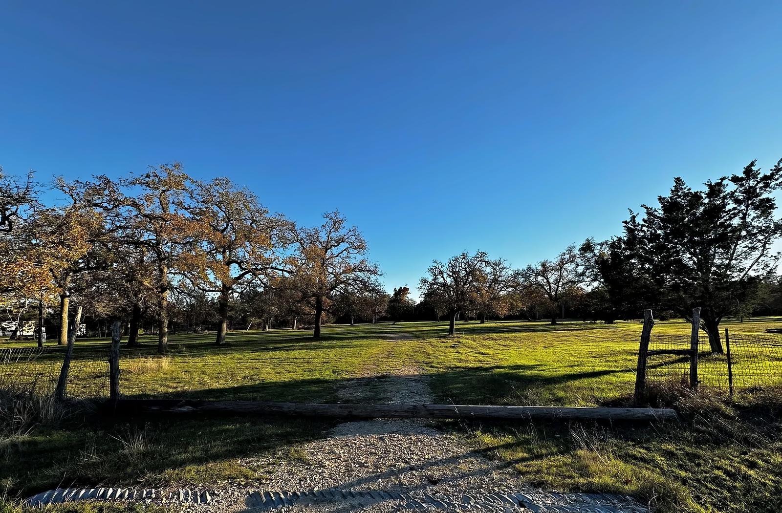 Gravel entrance drive leading through a fence line into a green meadow with oaks